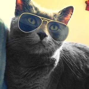 Meet your Posher, Cathy